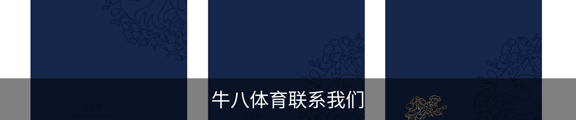 内页banner